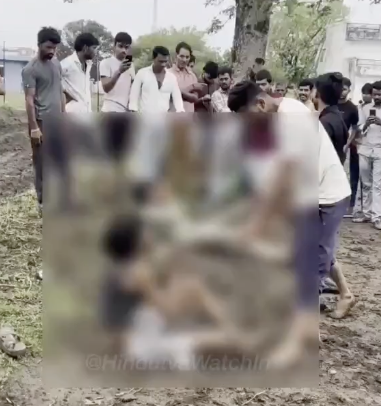 In Ratlam, Cow Vigilantes Assault Two Men and Vandalise Cattle Vehicle