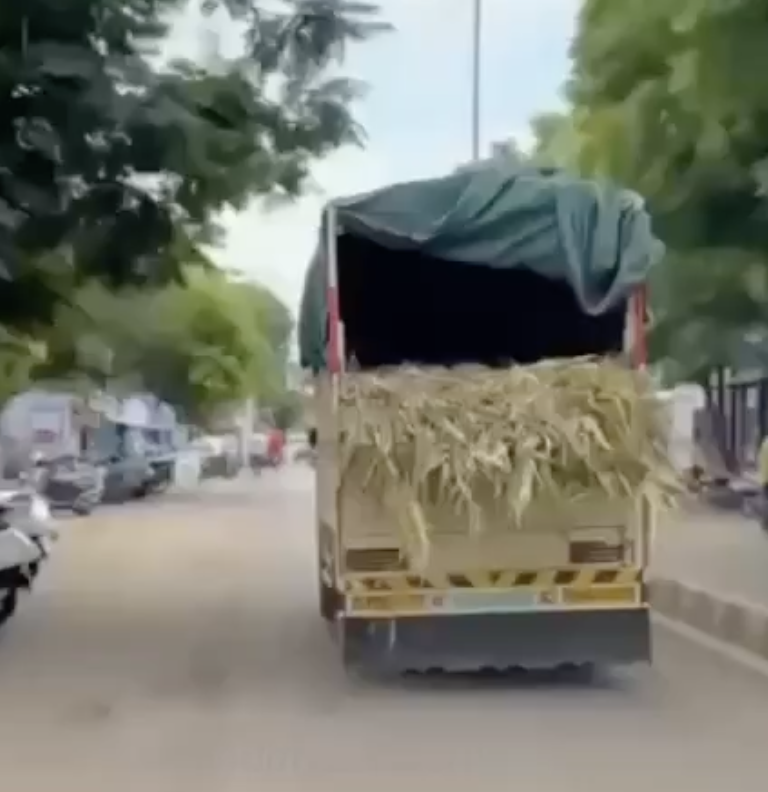 In Solapur, Cow Vigilantes Assault Hindu Cattle Transporter